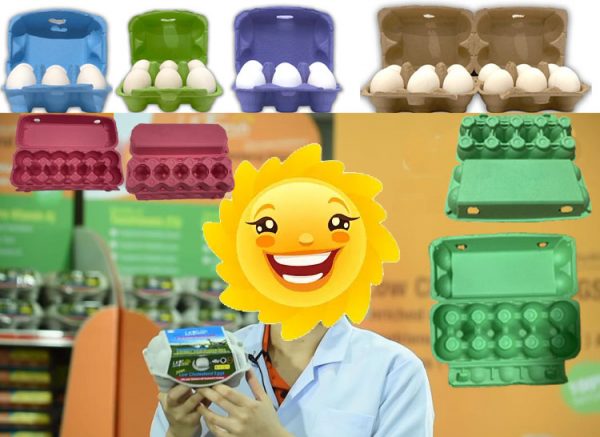 Eco Egg Carton Factory · Packaging Manufacturer Packing City Pulp Egg ...